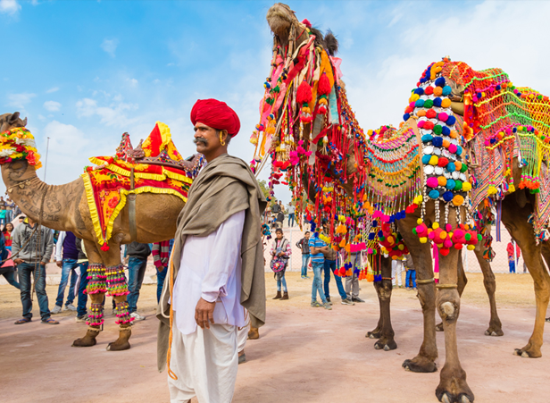 Enchanting Rajasthan: Discover the Magic with Our Exclusive Tour Packages!