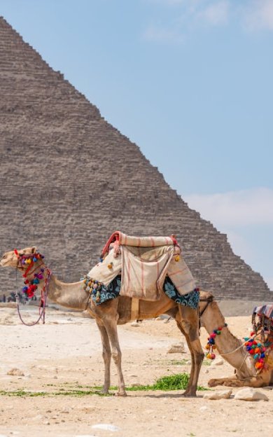 From Delhi to Cairo: A Journey of Vibrant Cultures and Ancient Wonders